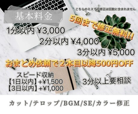 SNS用動画編集します ショート動画/TikTok動画を中心に!! イメージ2