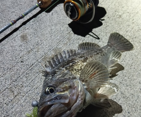 早い♪即日対応♪札幌近郊での釣り及び穴場教えます 貴方と魚達の架け橋！魚達との出会いをサポートさせてください! イメージ1