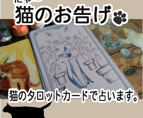 タロット占い　猫（にゃ～）のお告げ、お渡しします 3枚の猫タロットで鑑定＆猫オラクルカードでキーワード イメージ1