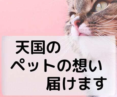 虹の橋を渡ったペットさんの想いを伝えます PDFでお渡し★亡くなった子専用アニマルコミュニケーション イメージ1