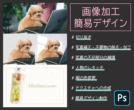 画像加工から簡易デザインまで細かい要望も承ります WEBデザイナーとして3年の実務経験あり イメージ1
