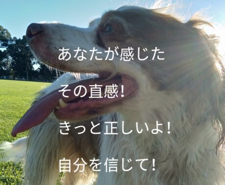 人に言えない悩みは色々あります！人生相談承ります もやもやしている問題を解決できるよう、お手伝いさせて下さい！ イメージ2