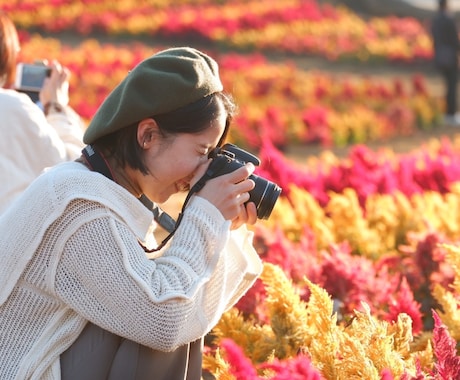 様々なシーンで活用できる素敵な写真素材を提供します イメージ1