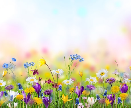 やわらかな落ちつく声で、疲れたこころに寄り添います ☘️心の休憩所☘️愚痴・不安・さみしい・しんどい…吐き出して イメージ2