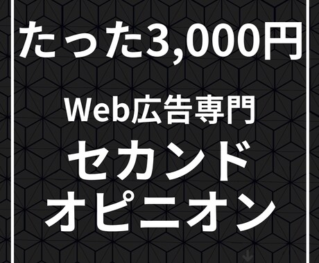 代行依頼前に！リスティング改善のご相談に乗ります 依頼前のセカンドオピニオンで、無駄な外注費をカット。 イメージ1