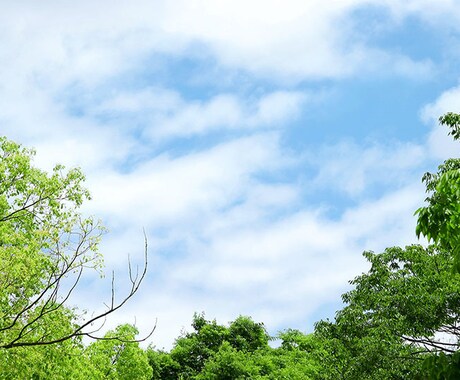 優しくお話しお聴きします ✨あなたのお気持ち受け止めます✨ イメージ2
