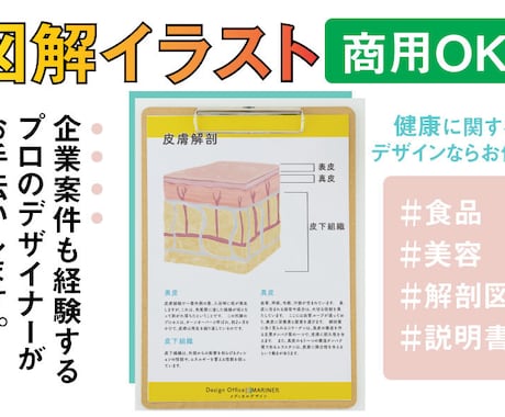 素材お探しですか？図解/美容/解剖イラスト描きます 前職理学療法士でプロのイラストレーターが描く安心クオリティ！ イメージ1