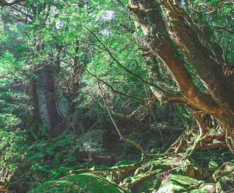 あなただけのパワースポットを読み解きます 全体運・仕事運・金運・恋愛運を上げたいあなたへ イメージ2
