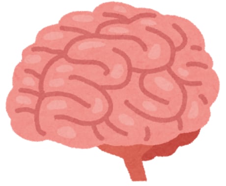 脳・神経に関する質問にお答えします 現役医学生が丁寧に解説します。 イメージ1
