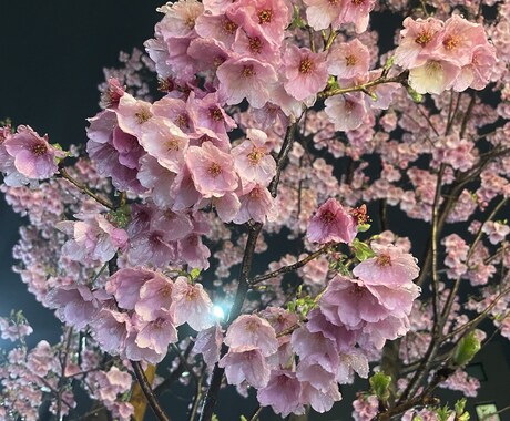 聞き上手な私が、あなたのお話聞きます 恋愛・愚痴・雑談なんでも大丈夫です！ イメージ1