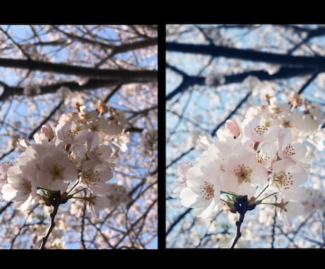 写真をレタッチします <即日納品>プロが撮ったような作品に仕上げます イメージ1