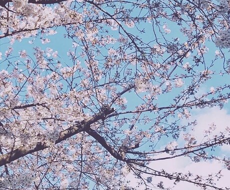 人間関係✴︎復縁など✴︎現状と今後の流れを占います お相手との今後の関係が気になる方へ✴︎タロットで占います イメージ1