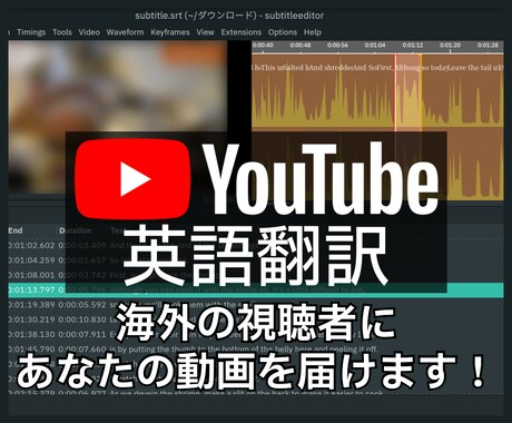 ネイティブがYouTubeの英語翻訳字幕を作ります TOEIC955点/実績200本超/NHK放映番組の経験あり イメージ1