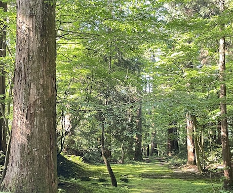彼の一言で天国と地獄になる恋をしてる人相談のります 彼に振り回される恋愛、もうやめたい人の相談のります イメージ2