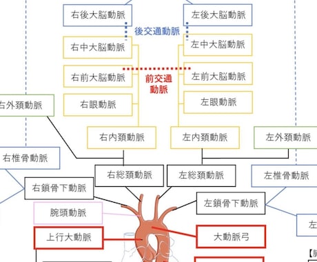 医療系学生のための解剖学！分かるまで寄り添います 現役教員×元塾長が徹底サポート！【顔出しなしOK】 イメージ2