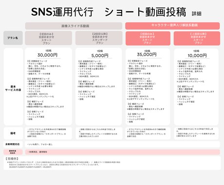 堅実なTikTok運用、動画SNS代行をします 価値のあるSNS運用ならお任せください！届けたいユーザーへ イメージ2