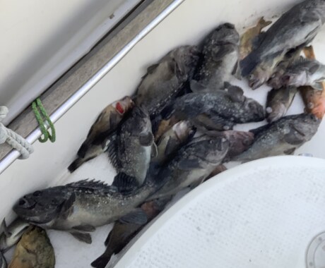北海道の釣り楽しい話しします マグロからヤマメ迄の、釣り教えます。 イメージ2