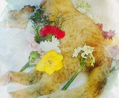 心の支えだったペットを亡くされた方、相談のります 虹の橋の向こう側〜お月様にバケーションに行ってるんだよ！ イメージ1