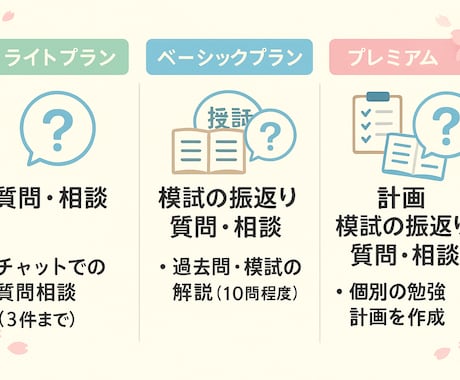 現役看護師が伴走サポート、国試の勉強を支援します 国試までの勉強を“効率化”＆“自信”につなげます♪ イメージ2