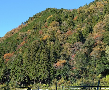 トークルームにて！頑張るアナタを応援、褒めます 一週間応援されて、褒められて頑張りませんか？ イメージ1