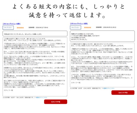 楽天のプロが楽天市場の過去レビューを返信代行します 『過去のレビューも見られます！見られて大丈夫な返信ですか？』 イメージ2
