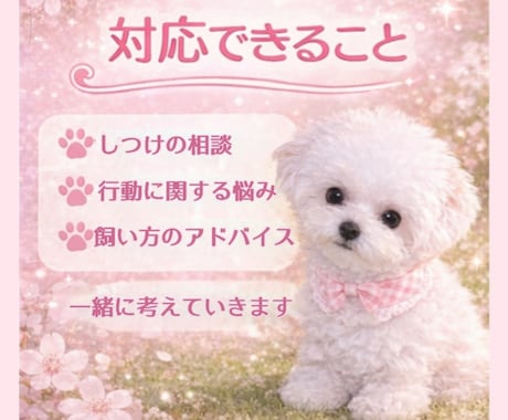 子犬の悩み相談のります 子犬の飼い方・しつけ相談、なんでもOK イメージ2