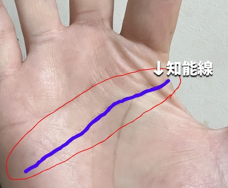 初回限定1,000円◆知能線から才能診断します 鑑定だけで終わりじゃない。今できる行動まで一緒に考えます イメージ2