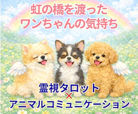虹の橋を渡ったワンちゃんの気持ち霊視で読み解きます あの子は幸せだった？お空の愛犬の想いをタロットでお伝えします イメージ1