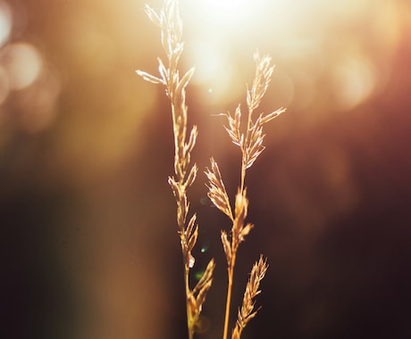 決断に自信☆魂の設計図を定着させます 女性起業：フリーランス：キャリアアップ：転職：専門職：管理職 イメージ2