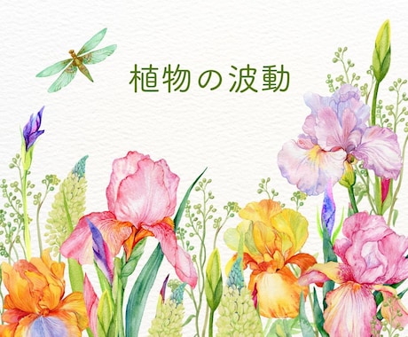 フラワーエッセンス♡自然のちからで心を整えます じっくりお話を伺って背中を押します☘本来のエネルギーへ イメージ2
