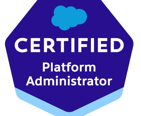 Salesforceのご相談に対応します セールスフォース5年超(導入/開発責任者&運用責任者） イメージ2