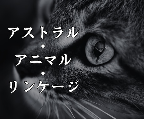 あなたの魂と共鳴する神聖なる守護動物を特定します あなたと宇宙、生命体とのつながりを目覚めさせる、魂の覚醒儀式 イメージ1