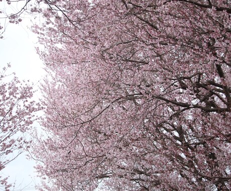吐き出したいお気持ち 受け止めます どんなことでも大丈夫！ お話聞かせてください✨ イメージ1