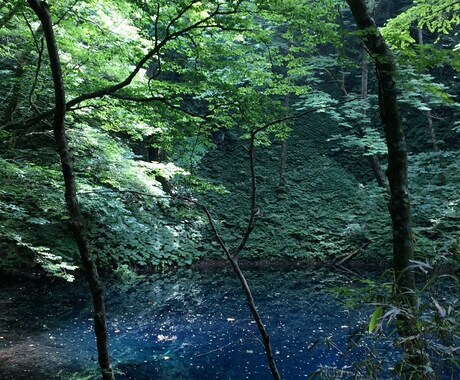 人生相談、対人関係、恋愛相談、承ります 今悩んでいることがある方へ、お気軽にどうぞ。 イメージ1