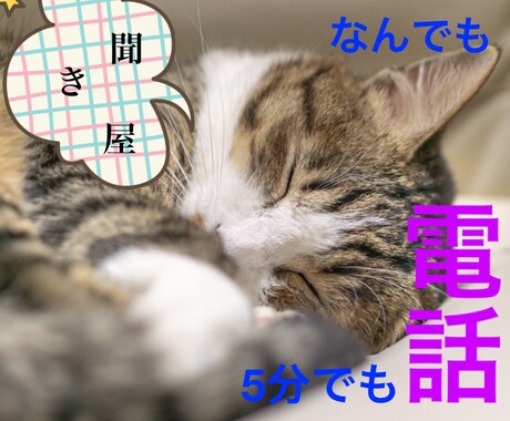 貴方の心や頭の整理をお手伝いします 本業で聞き役しています。話し相手や相談相手として寄り添います イメージ1