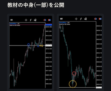 全通貨で使える水平線リバ取りスキャルピング教えます 誰でも簡単に扱え、すぐに実践できます。 イメージ2