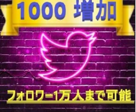 世界拡散■Twitterフォロワー1000増します 【1000～10000人】ツイッターのフォロワー増加 イメージ1