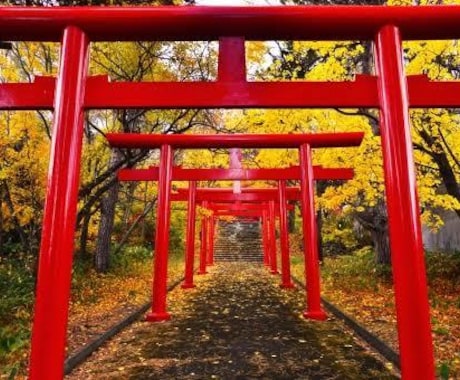 霊視✴︎占い 神様への挨拶をお手伝いします 神棚・参拝・お守りには神様パワーしっかりもらわなきゃね！ イメージ1