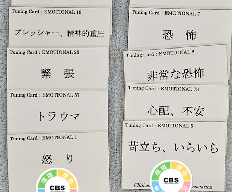 問題になってる感情の波動を調整します 負の感情は心身にダメージを与えます イメージ1