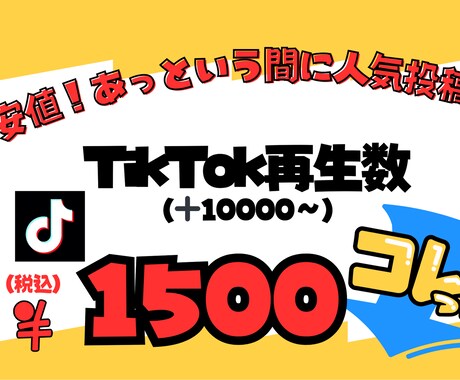 TikTok再生数増やします TikTok再生数を１００００回増やします！ イメージ1