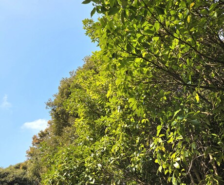 お疲れ様です☆一緒に萌え萌えキュンキュンします 一緒にキュンについて語りましょう☆なんでも待ってます☆ イメージ2