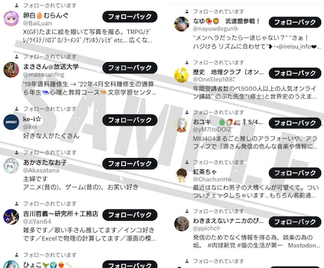 X(旧Twitter)　日本人フォロワー増やします ★高品質★X(Twitter)日本人フォロワー＋100人★ イメージ2