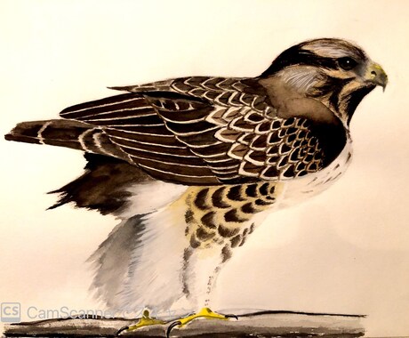 ペット等動物のデッサン、イラストお描きします 大切な家族の思い出を絵に残しませんか？温かい絵お届けします。 イメージ2