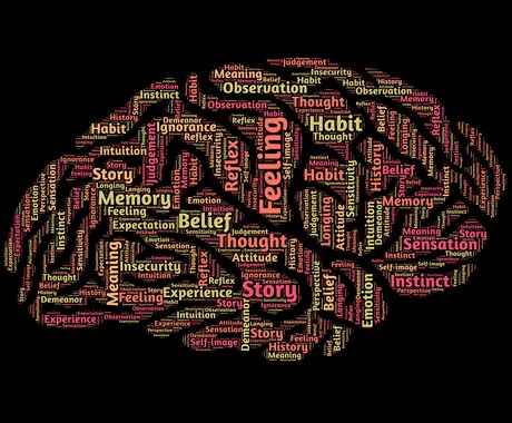 最新の論文から健康情報や科学的情報を教えます 健康・学習・心理学などエビデンスがある情報が欲しい方へ イメージ1