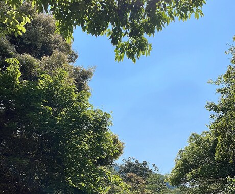 心の悩み何でもお聞きます とことんお話しお聞きします❤️ イメージ2