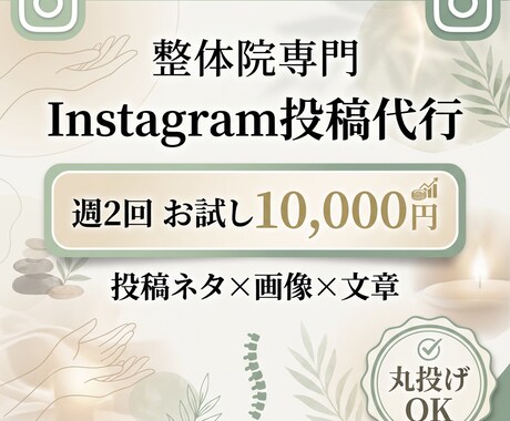 整体院専門｜週2回インスタ投稿代行します ネタ考案から画像制作まで全て代行！集客に直結する投稿をお届け イメージ1