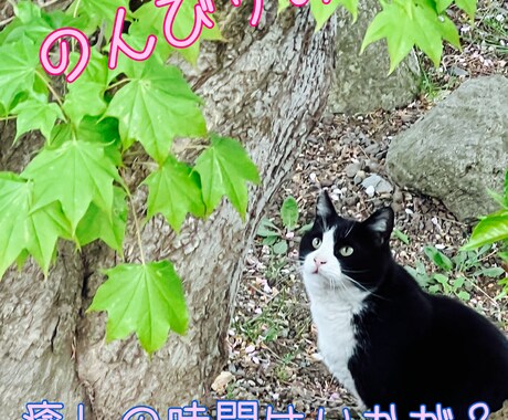 幅広いトークテーマでのお話受け付けます 愚痴も悩みもなんでもお話聞かせてください! イメージ1