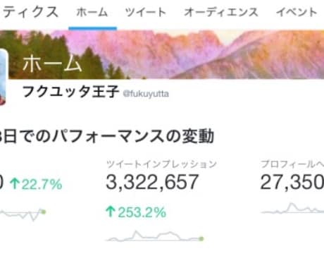 Twitterで1週間ツイートします 月間PV300万以上・フォロワー1万人以上です イメージ1