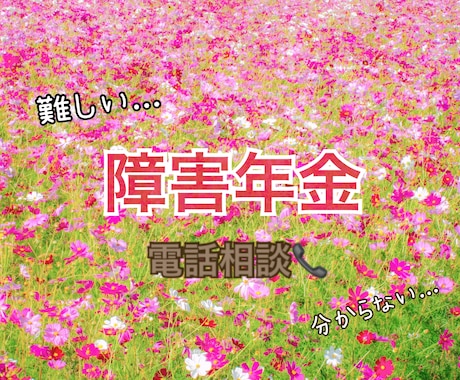 障害年金の電話相談できます 障害年金について直接相談したい方向けです(^^) イメージ1