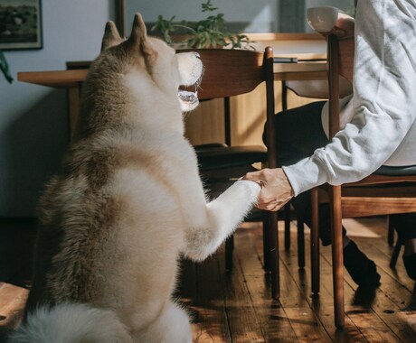 アドラー心理学勇気づけリーダーがあなたを応援します あなたの頑張っている事や、目標達成を応援します！ イメージ2